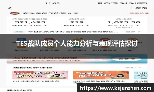 TES战队成员个人能力分析与表现评估探讨